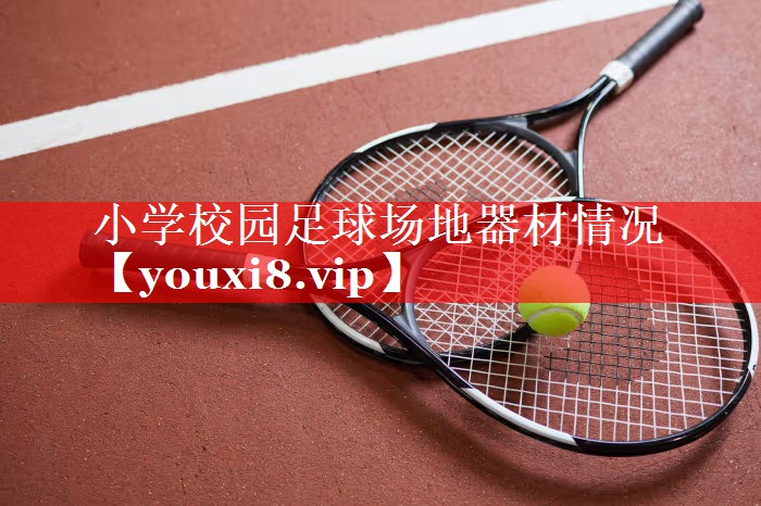 小学校园足球场地器材情况