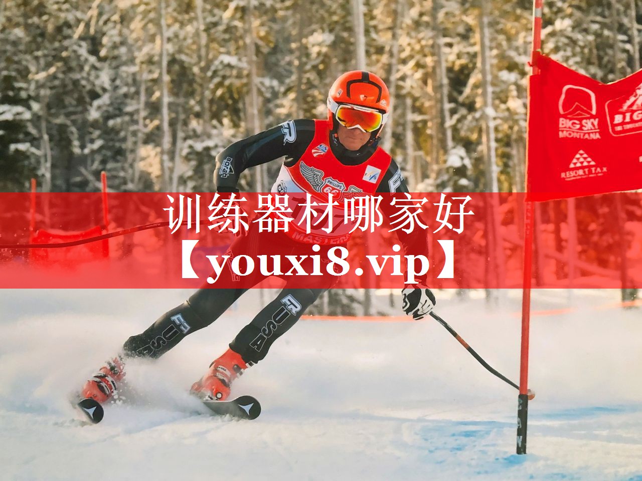 训练器材哪家好