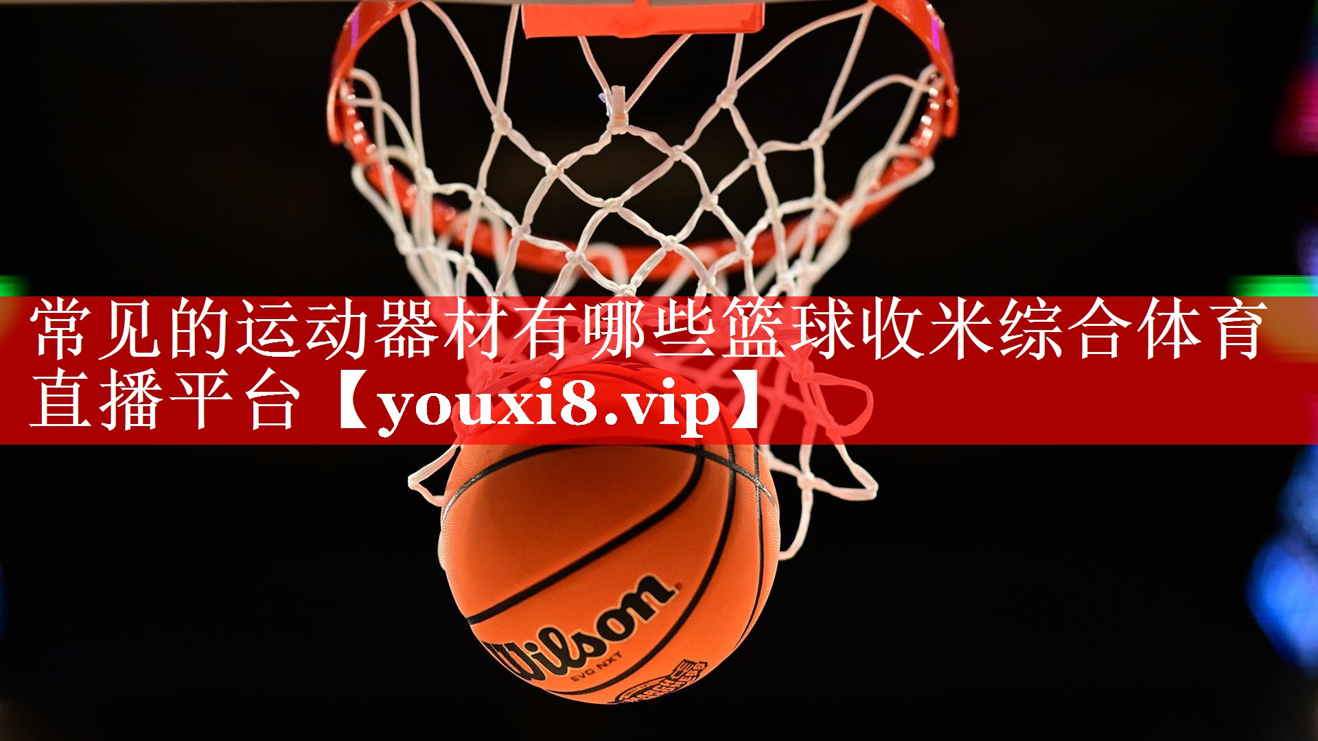 常见的运动器材有哪些篮球收米综合体育直播平台