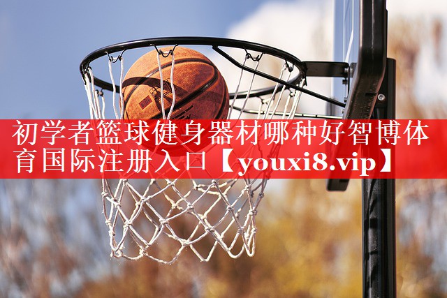 初学者篮球健身器材哪种好智博体育国际注册入口