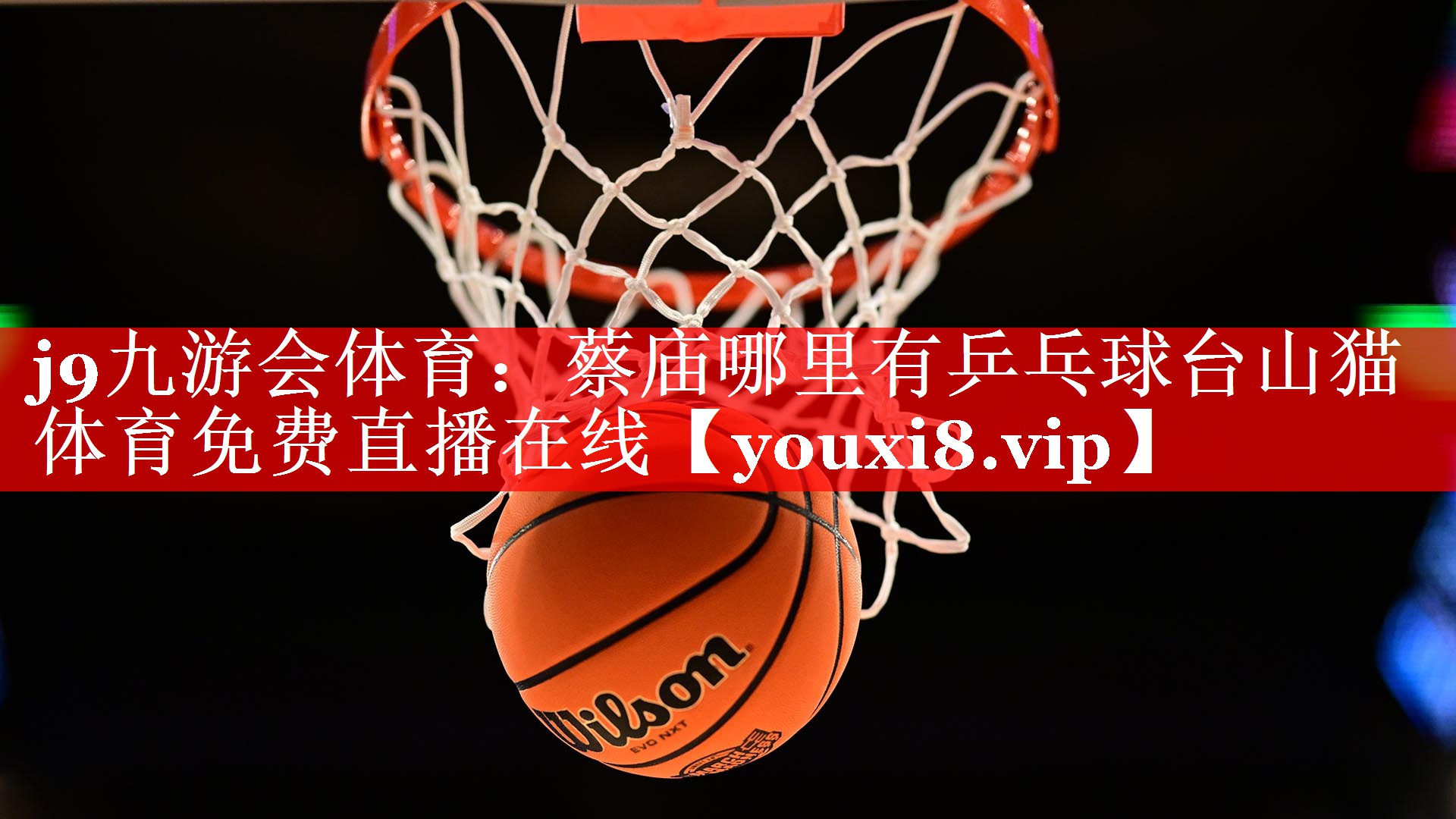 j9九游会体育：蔡庙哪里有乒乓球台山猫体育免费直播在线