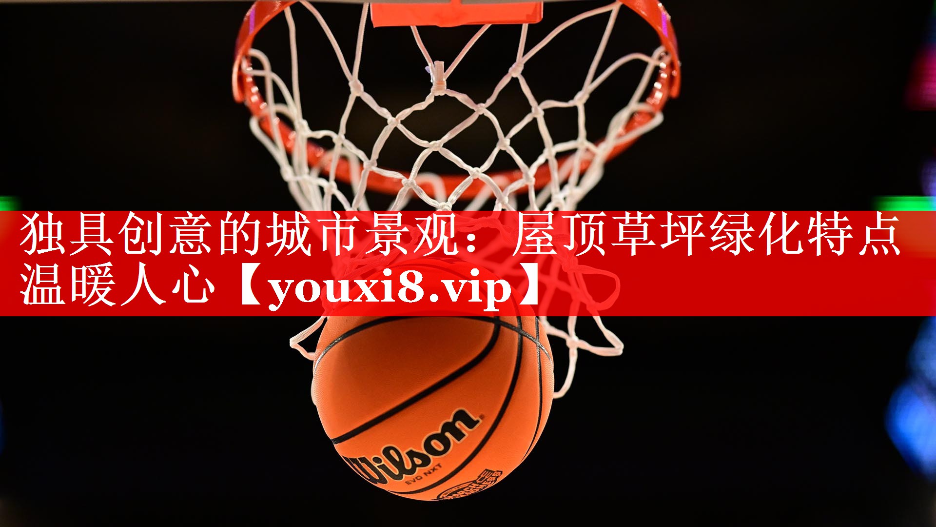 独具创意的城市景观：屋顶草坪绿化特点温暖人心