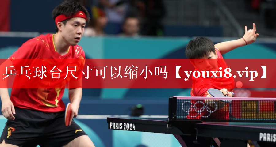 乒乓球台尺寸可以缩小吗