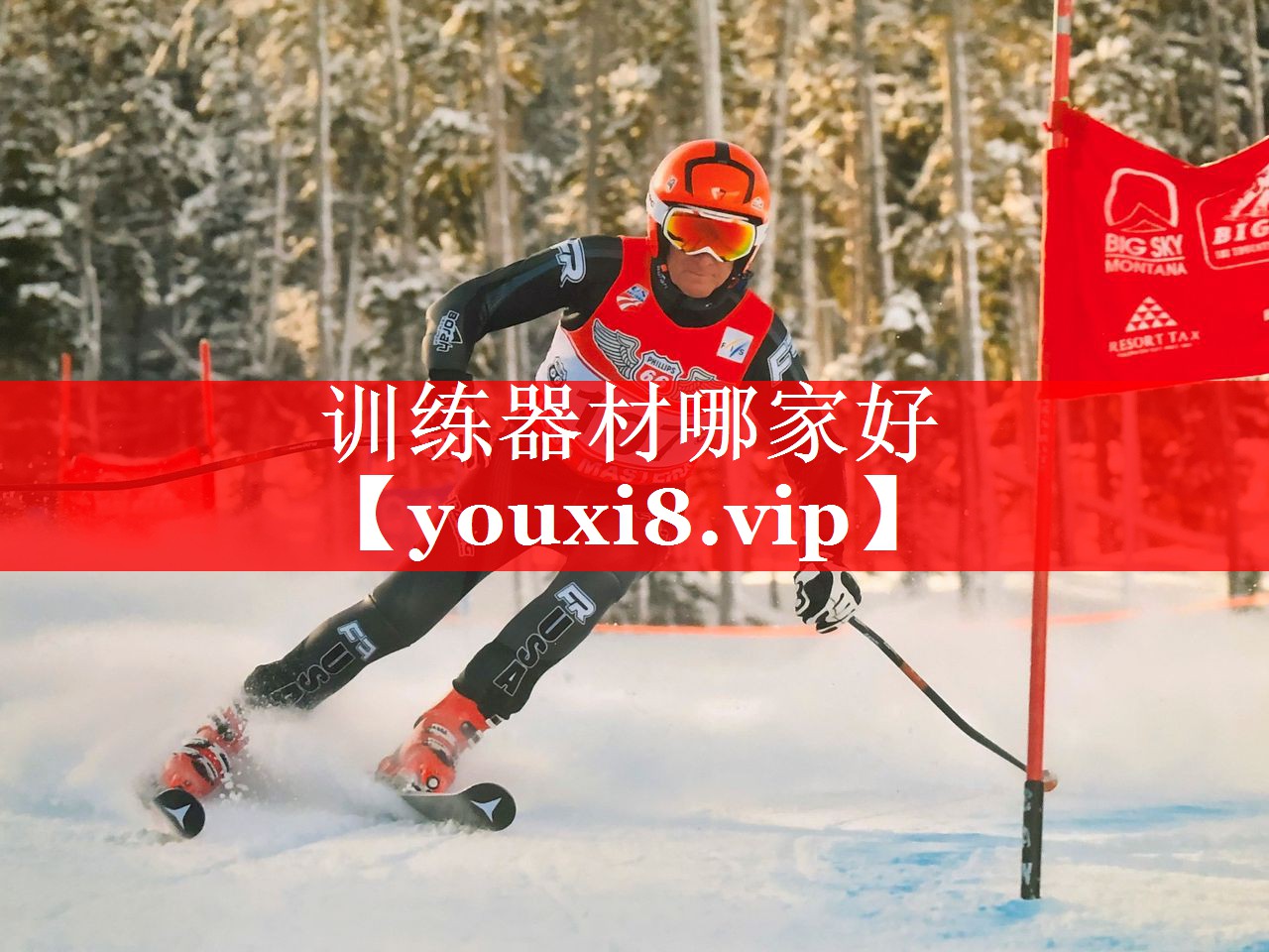 训练器材哪家好 训练器材哪家好