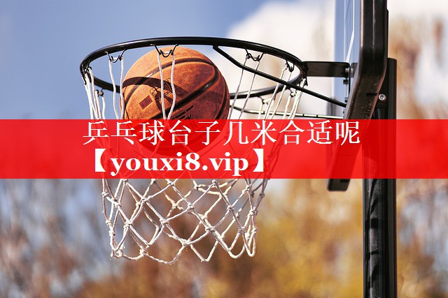 乒乓球台子几米合适呢 乒乓球台子几米合适呢