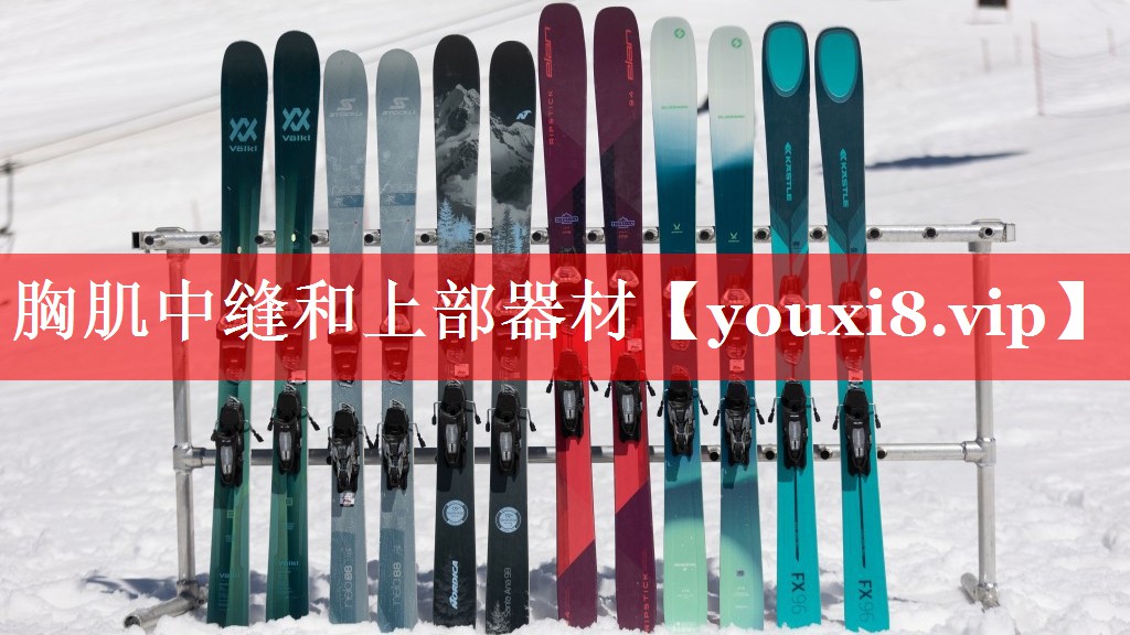 胸肌中缝和上部器材 胸肌中缝和上部器材
